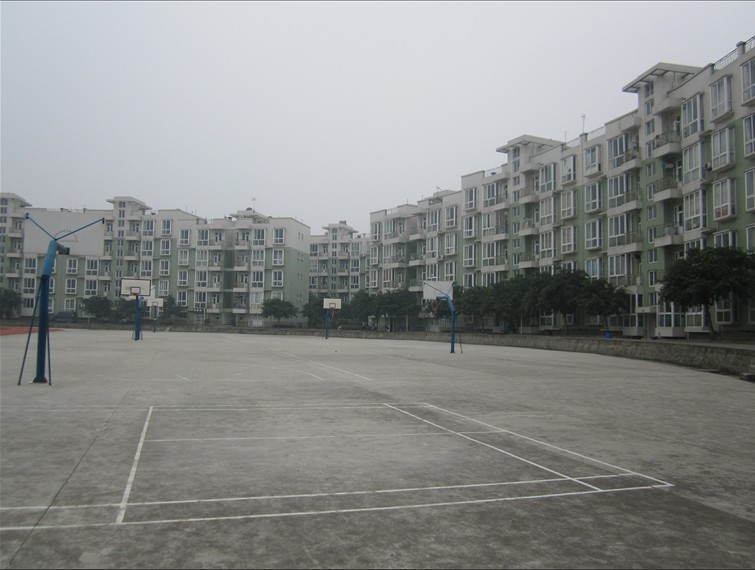 龙泉驿区同安镇忠诚路182号4栋房产.jpg